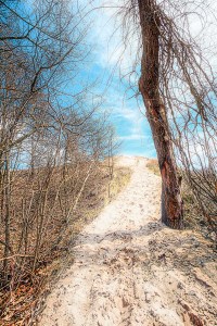 Path to Beach House Blowout Peak