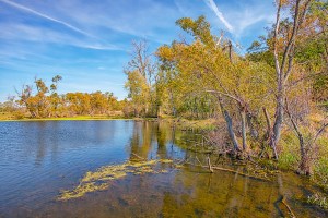 Pond in Late October