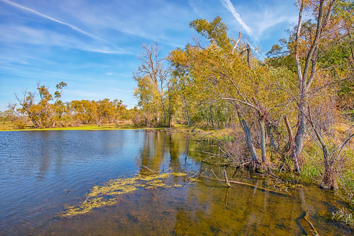 Pond in Late October