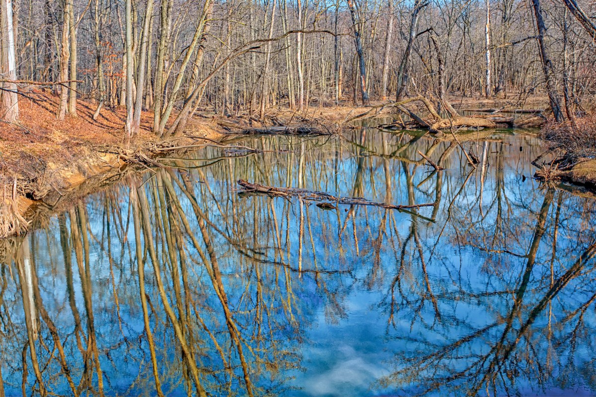 River at Bailly Homestead