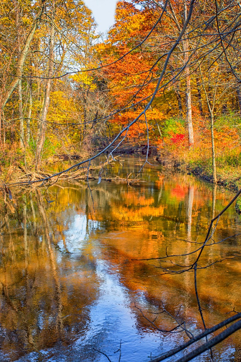 River in Autumn