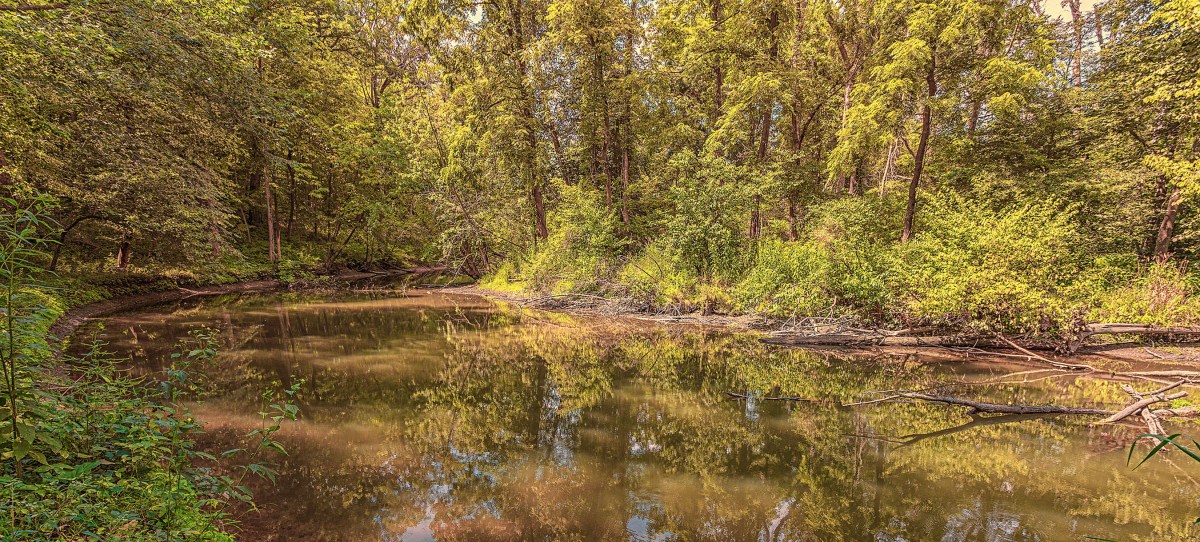 River in Early Autumn