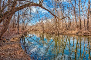River on Sunny February Day