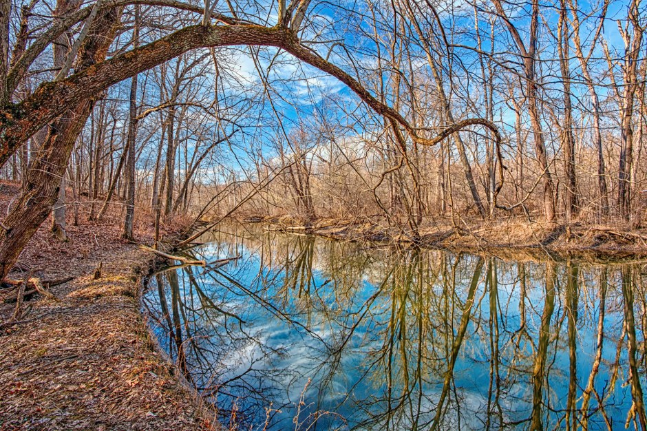 River on Sunny February Day