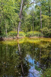 River Reflection in Early Autumn