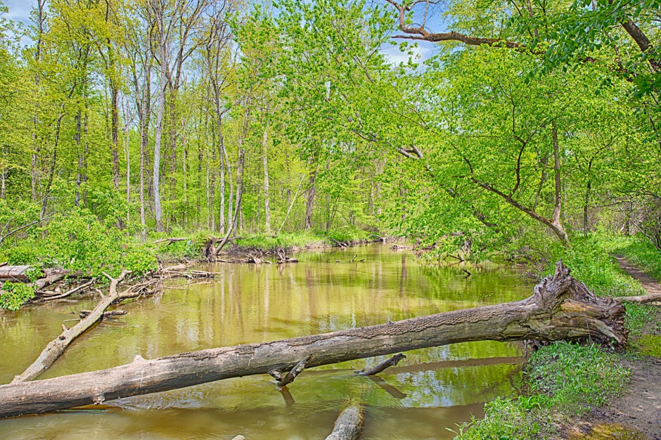River Trail in Middle of May