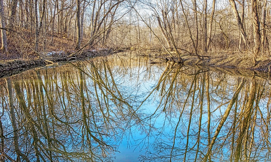 River View on New Year's Day