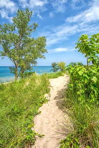 Sandy Trail Above Waverly Beach