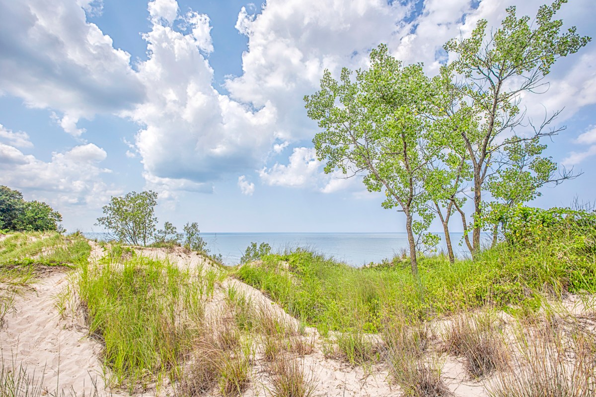 Sandy Trail Through Dune Ridge