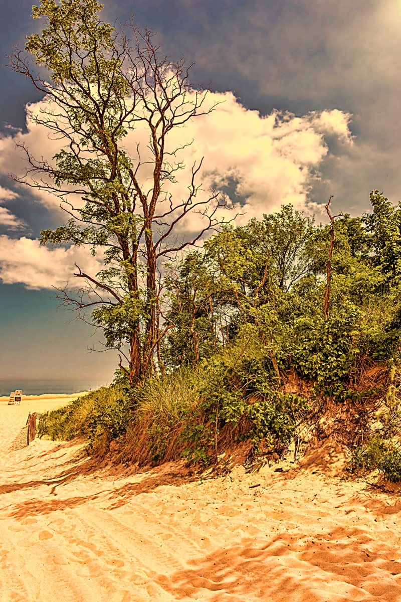 September Sunlight at Dunes