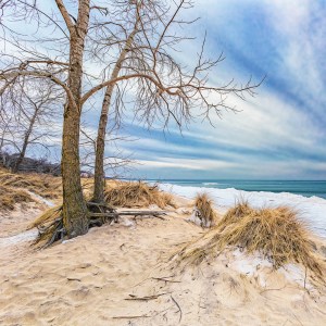 Shelf Ice, Walking West