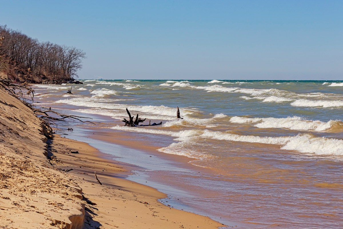 Spring Winds at Central Beach