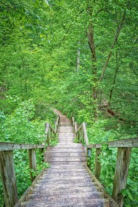 Trail Four Stairs to Mt Tom