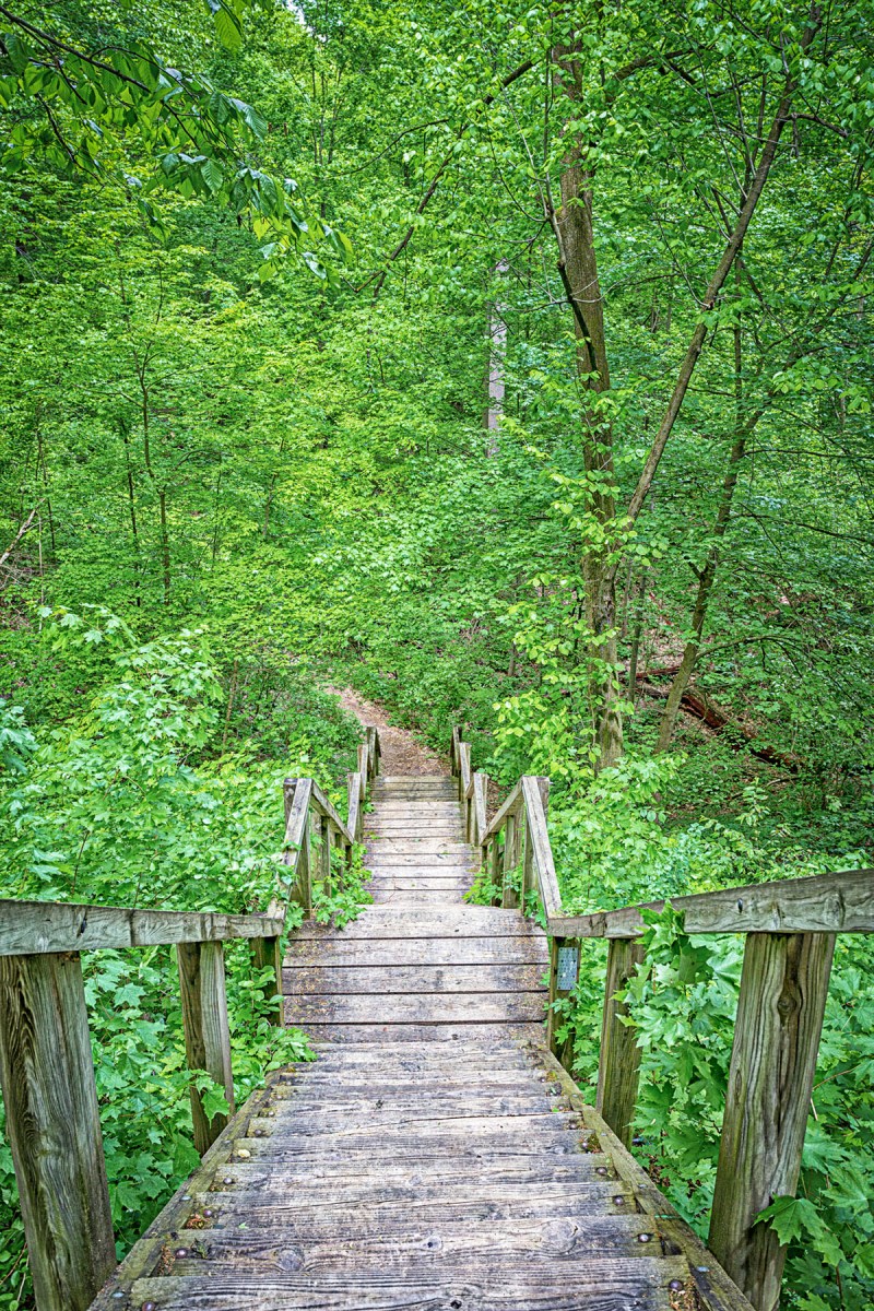 Trail Four Stairs to Mt Tom