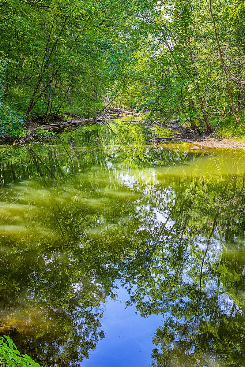 Still River in September