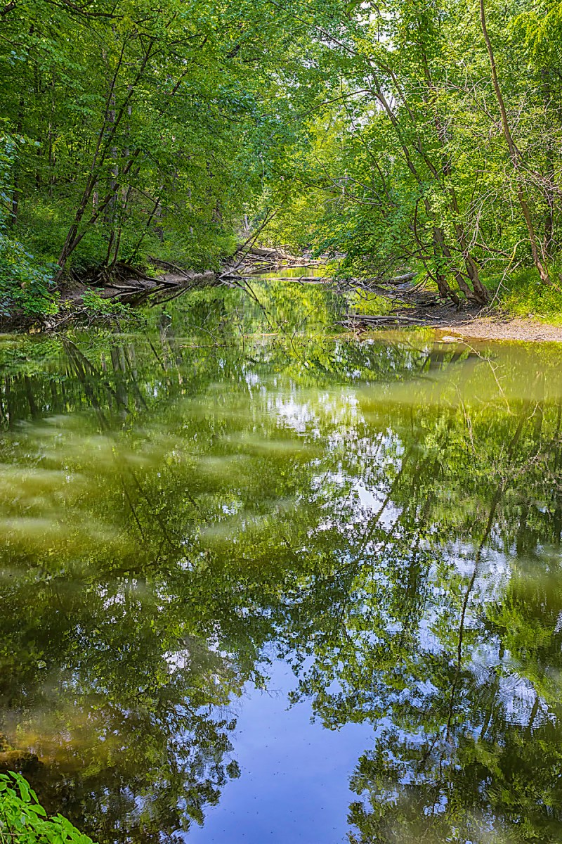 Still River in September