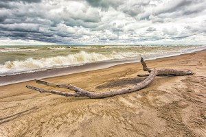 Stormy Beach in Autumn