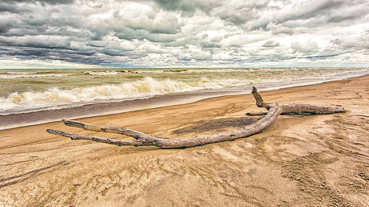 Stormy Beach in September