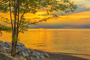 Summer Stillness at the Shore