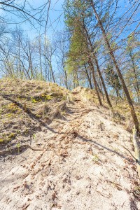 Three Dune Trail
