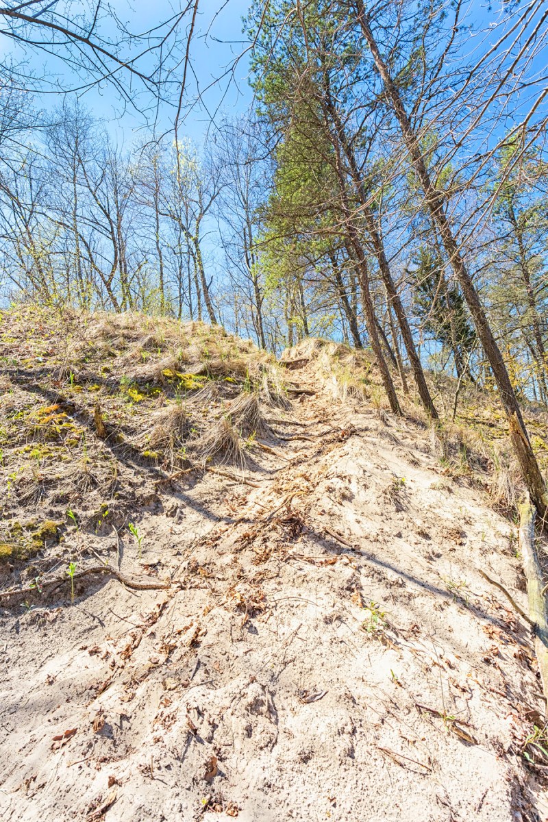 Three Dune Trail