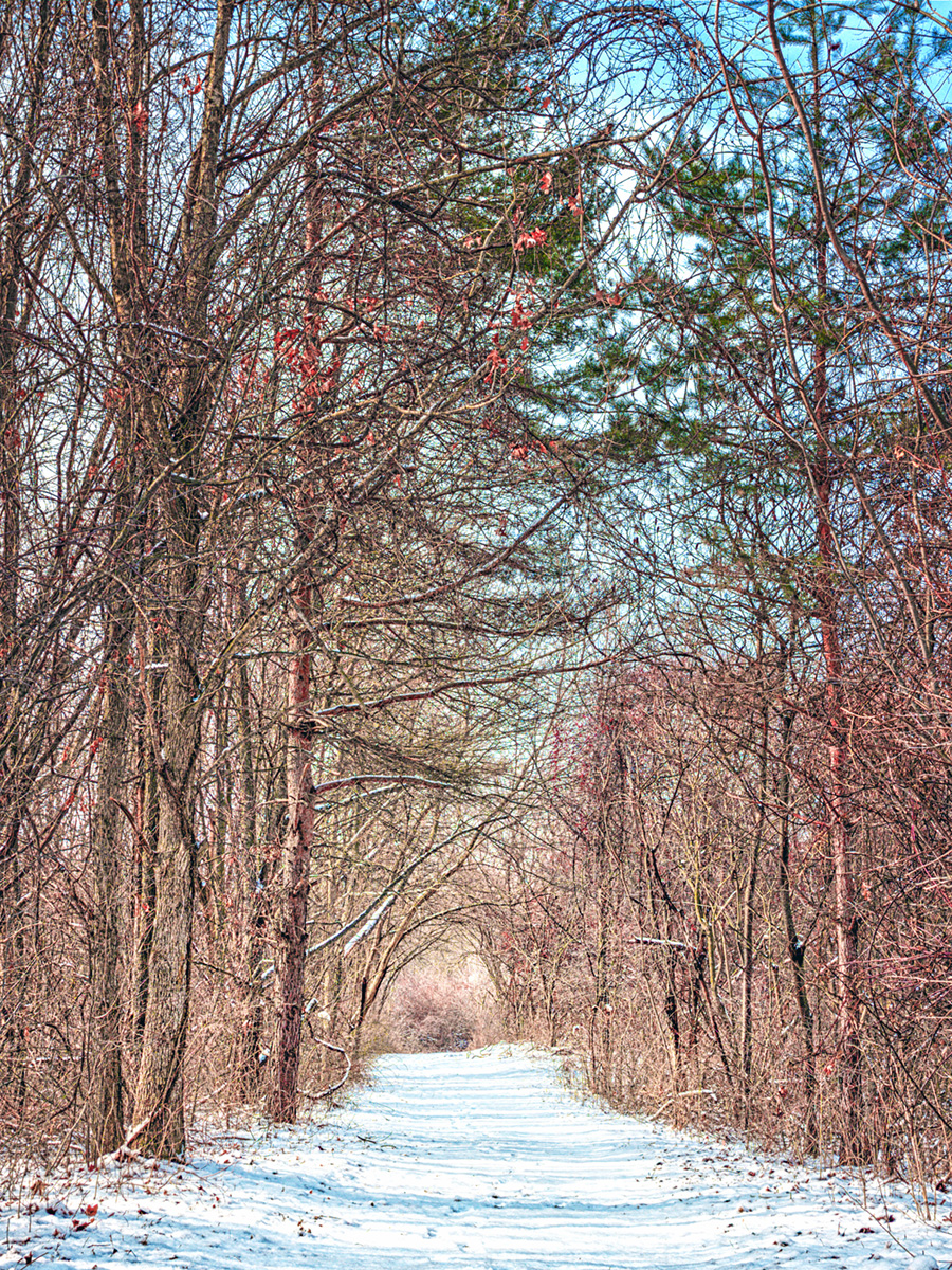 Trail After Lake-Effect Snow