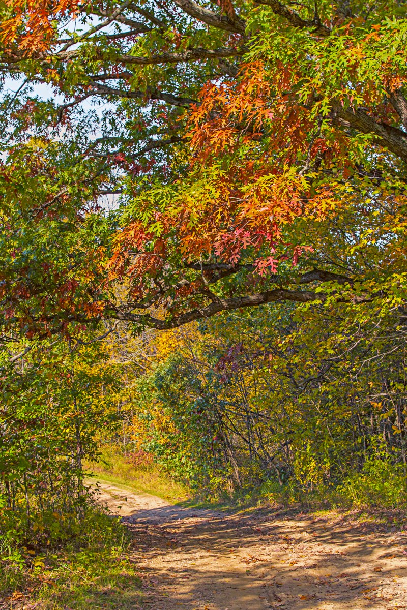 Trail Bend at End of October