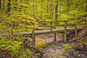 Trail Bridge in Autumn