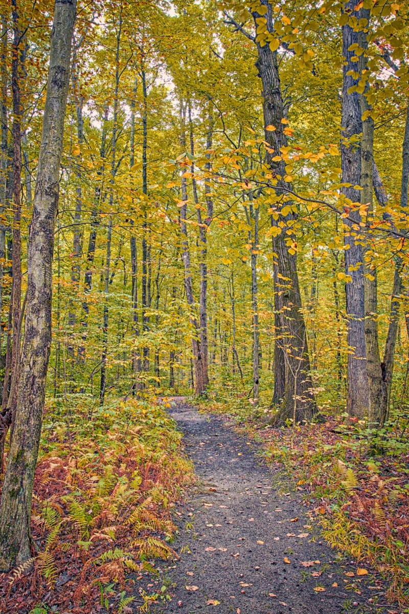Trail Eight in Late October