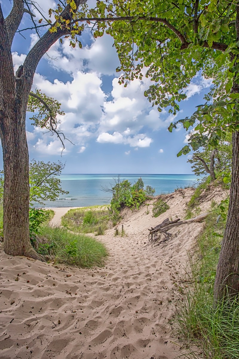 Trail Four Toward Shore