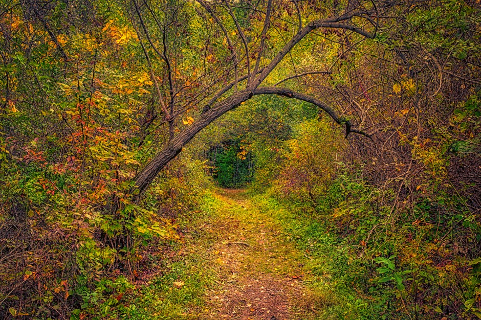 Trail in Early Autumn