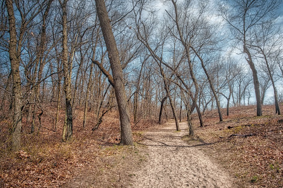 Trail Nine in Mid-April