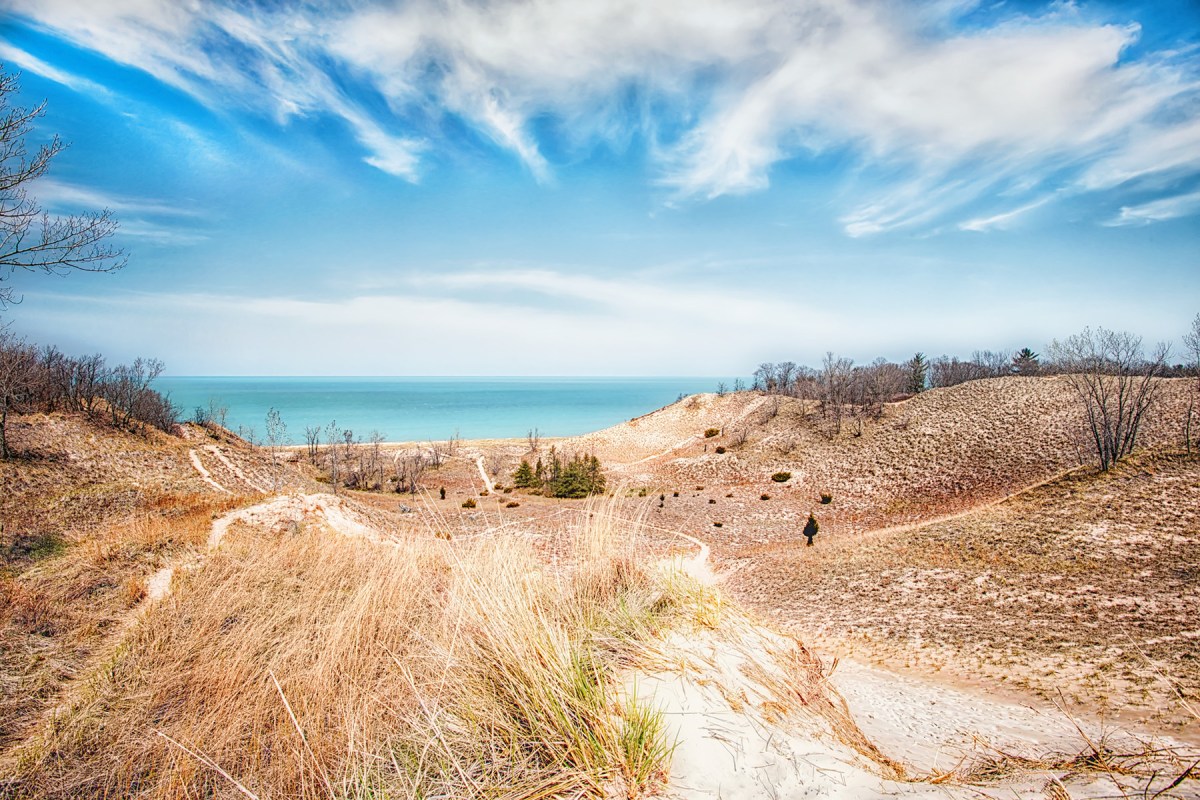 Trail to Beach Through Blowout