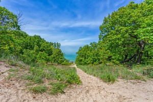 Trail to Lake Michigan from Mt Holden