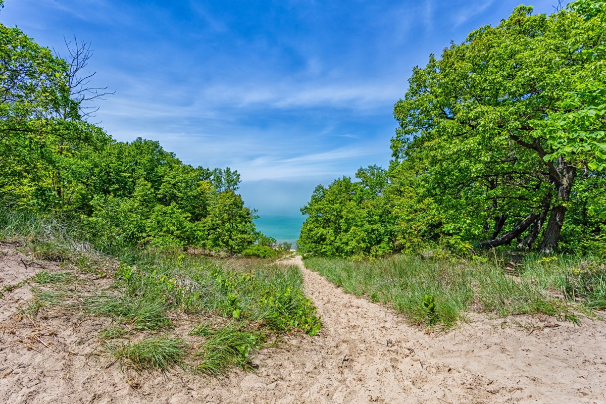 Trail to Lake Michigan from Mt Holden