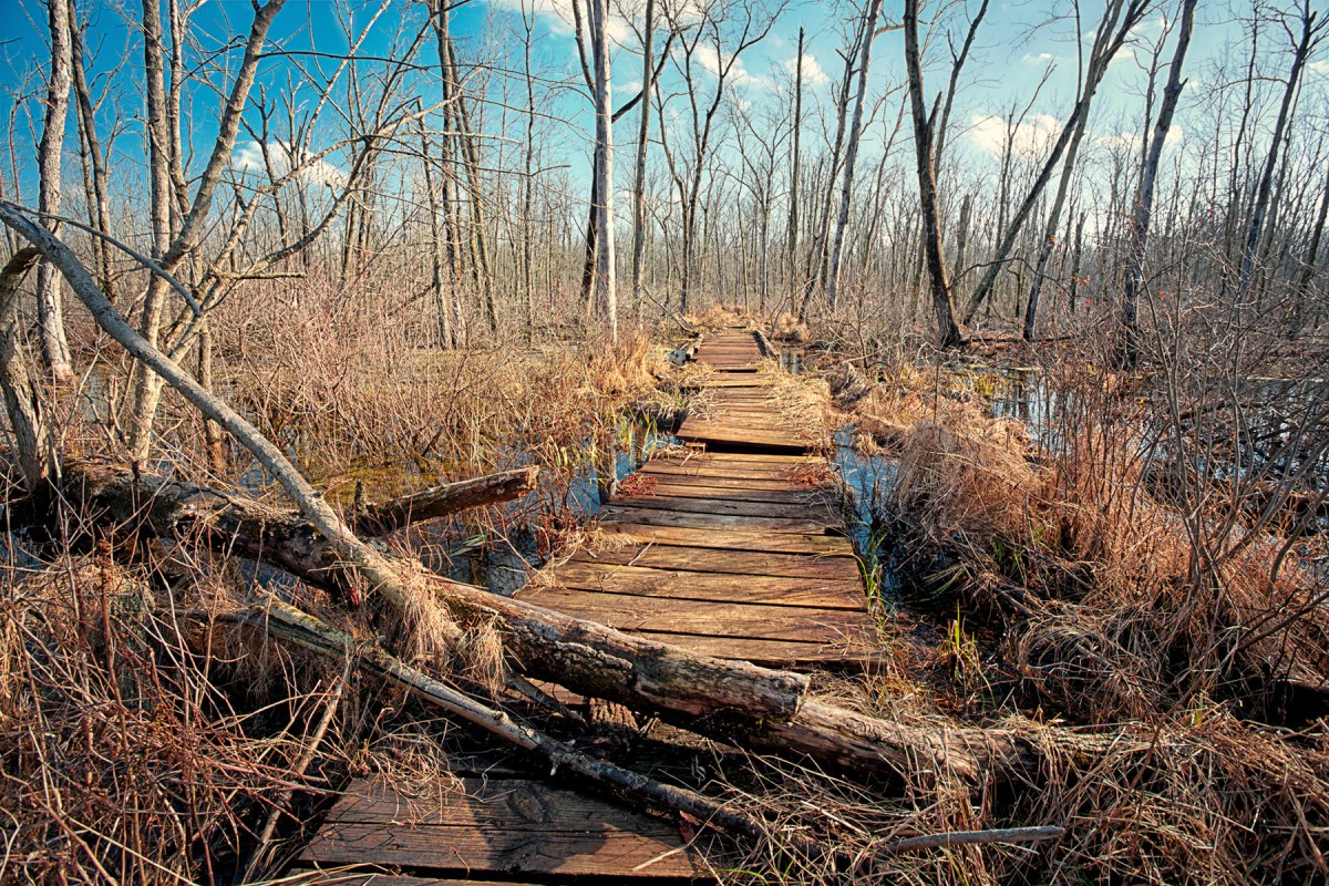 Trail Two Marsh Bridge
