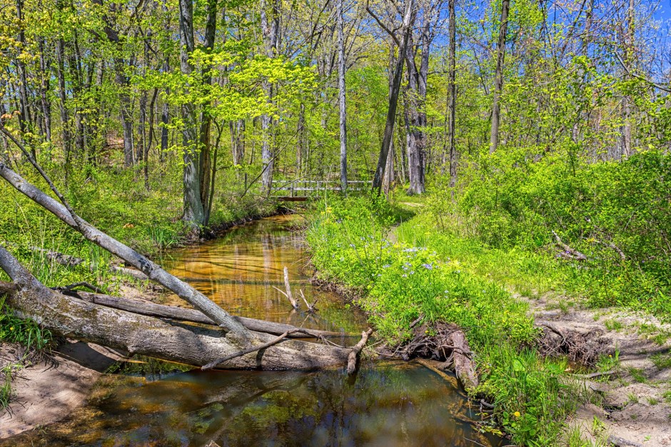 Trail Two Toward Footbridge
