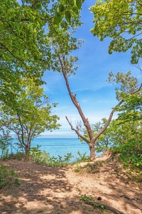 View from Cabin Trail