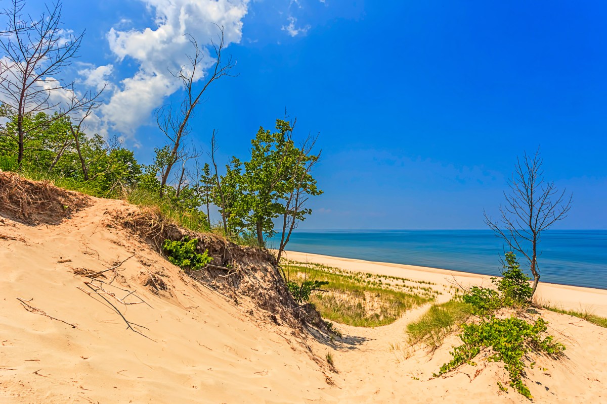View from Dune Ridge