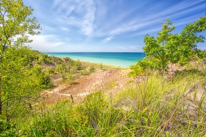 View from Eastern Rim of Beach House Blowout