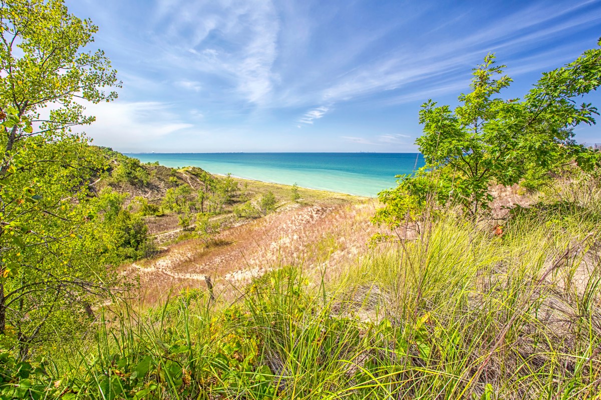 View from Eastern Rim of Beach House Blowout