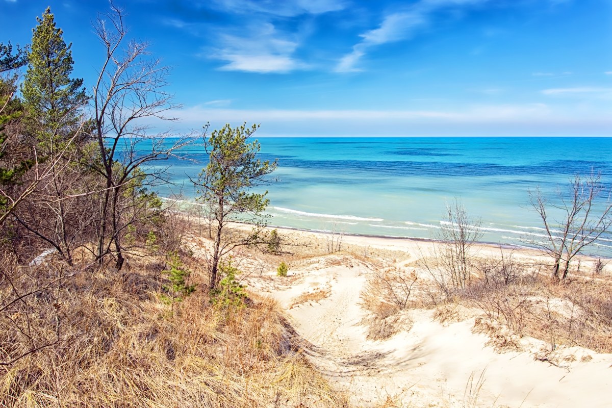 View from Mt Holden in March