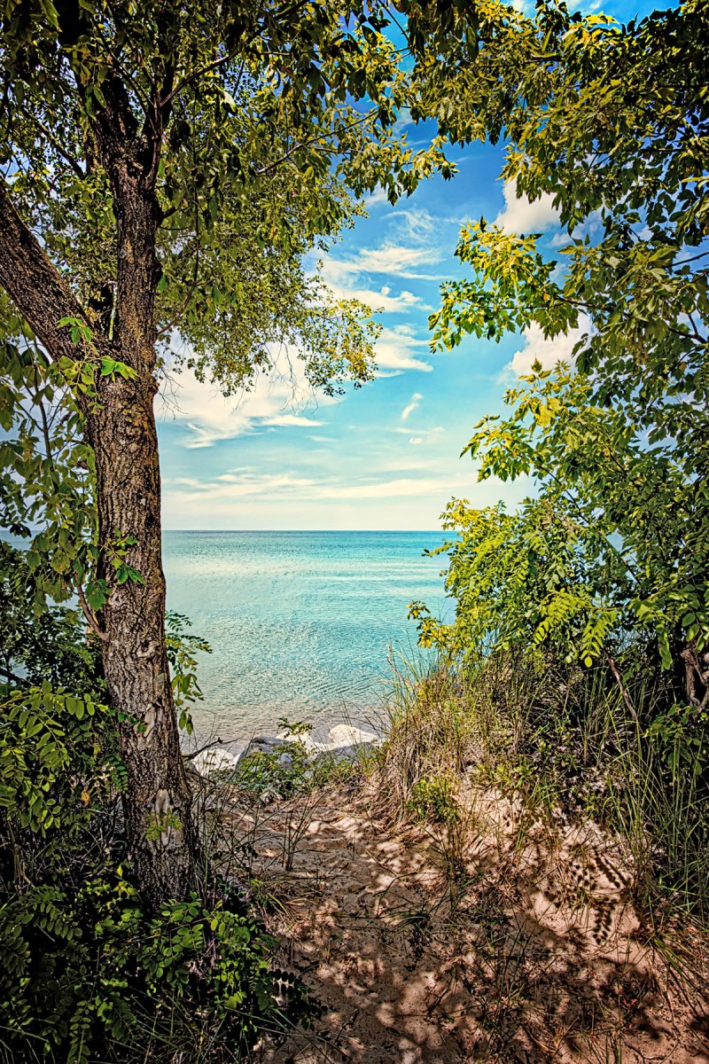 Wooded Trail to Beach
