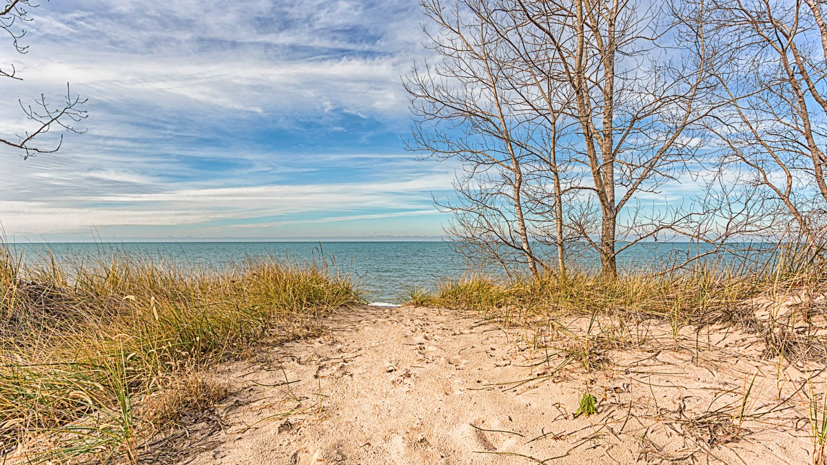 Dune Ridge in Winter