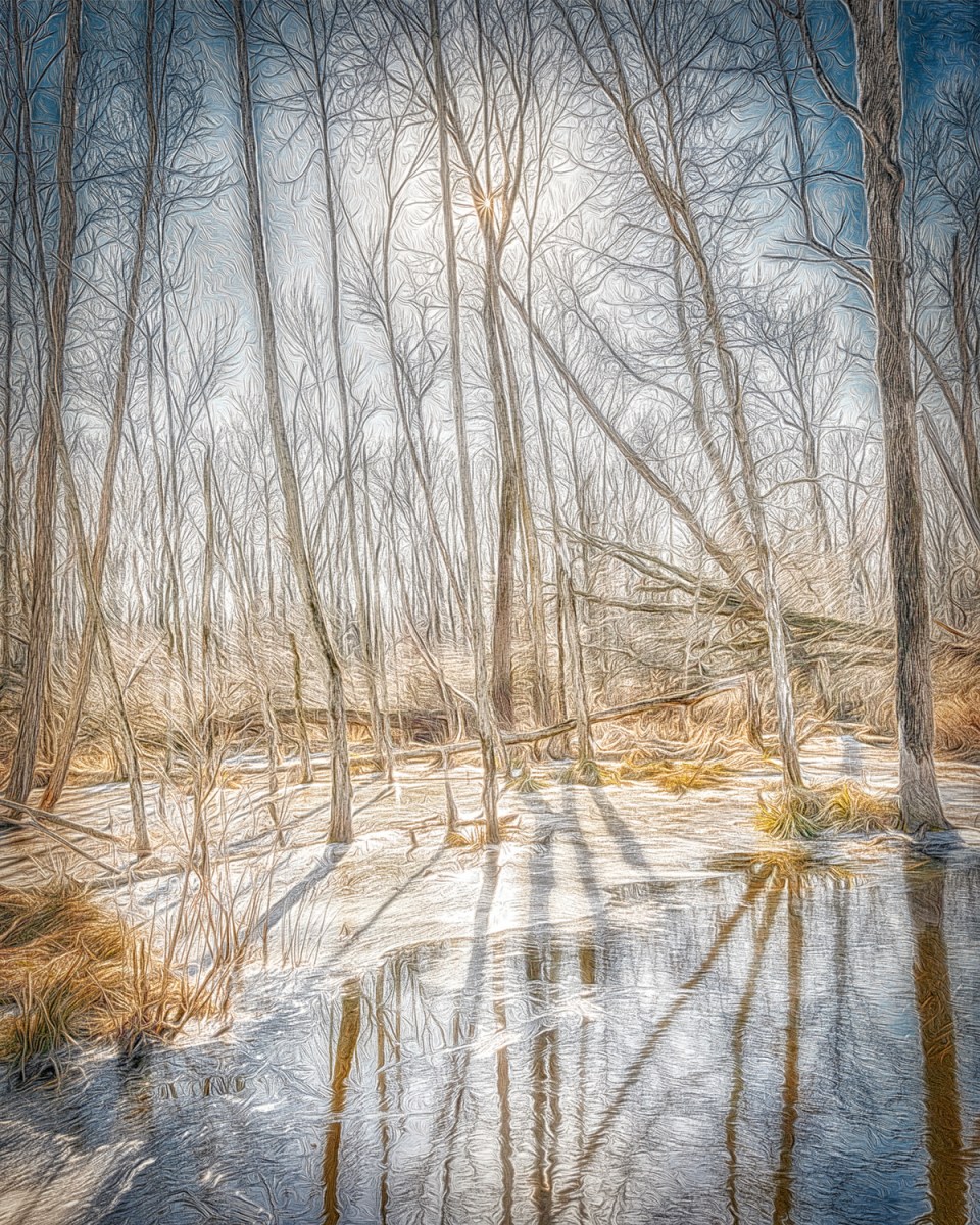 Wintry Wetlands