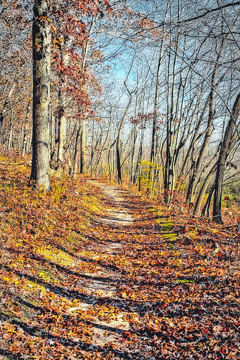 Cowles Bog Trail in Late November