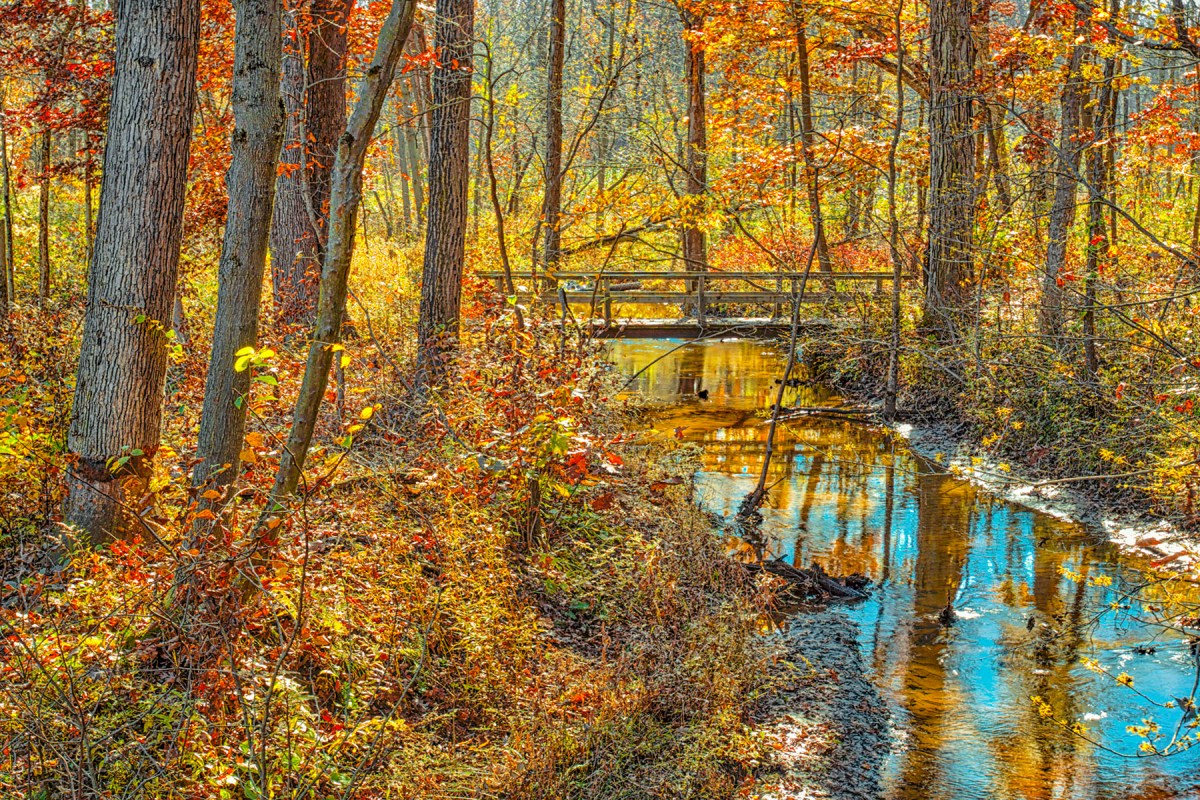 Dunes Creek Trail Bridge in Autumn