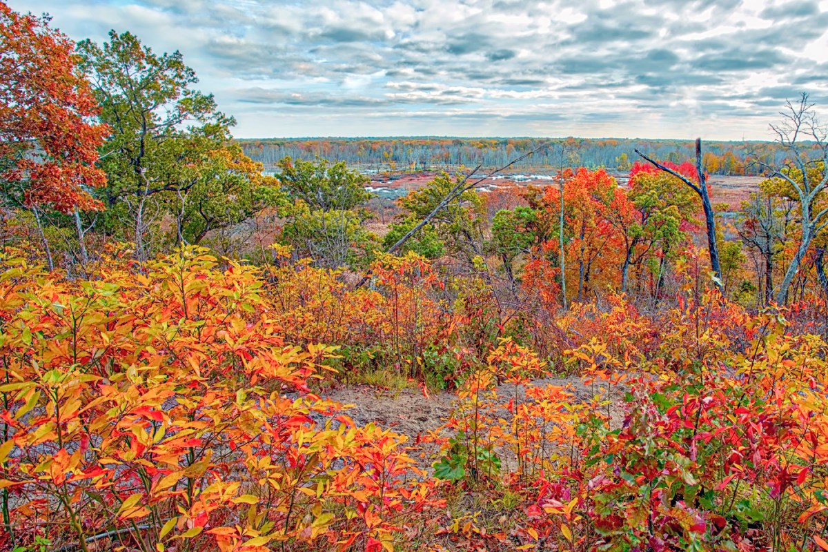 November View from Dune Ridge Trail