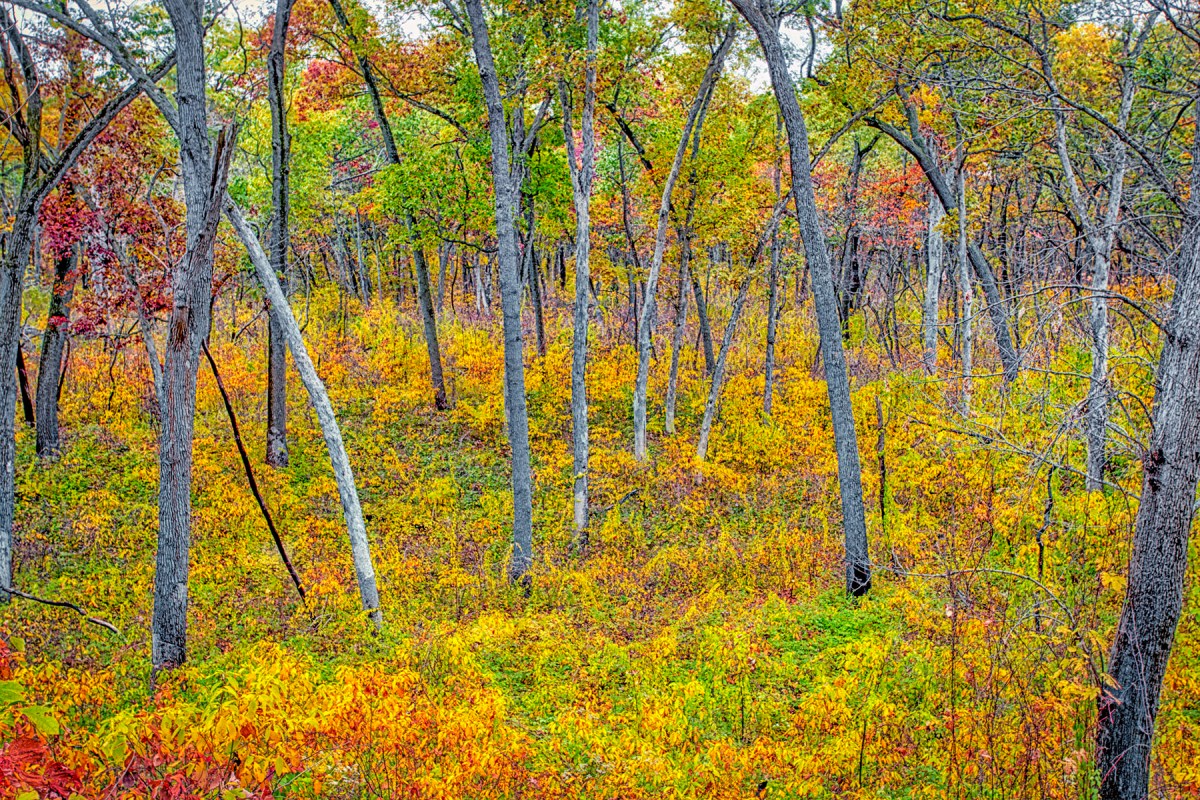 Quiet and Colorful Surroundings