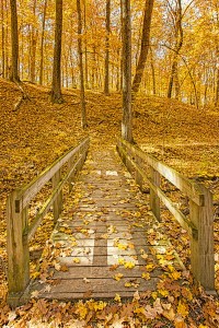 Trail Bridge at End of Autumn
